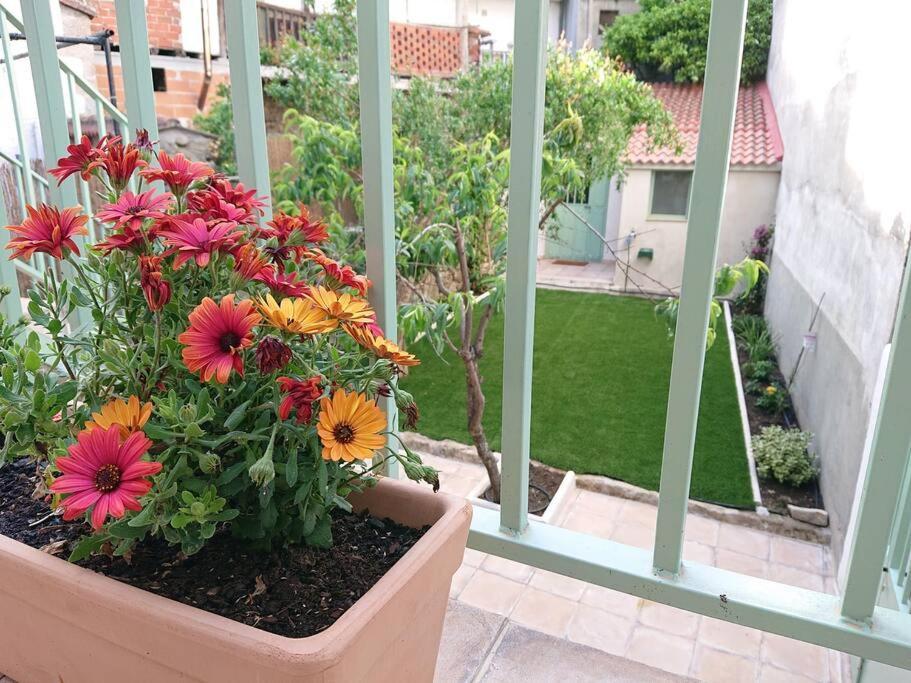 Casa Pozo Tarama